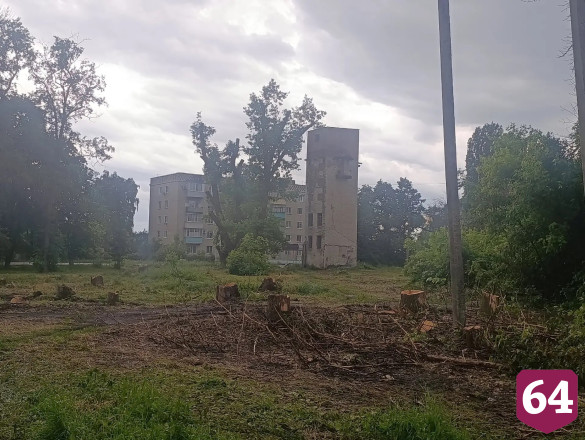 Горожане поблагодарили депутата Госдумы за помощь в спиле сухостоя